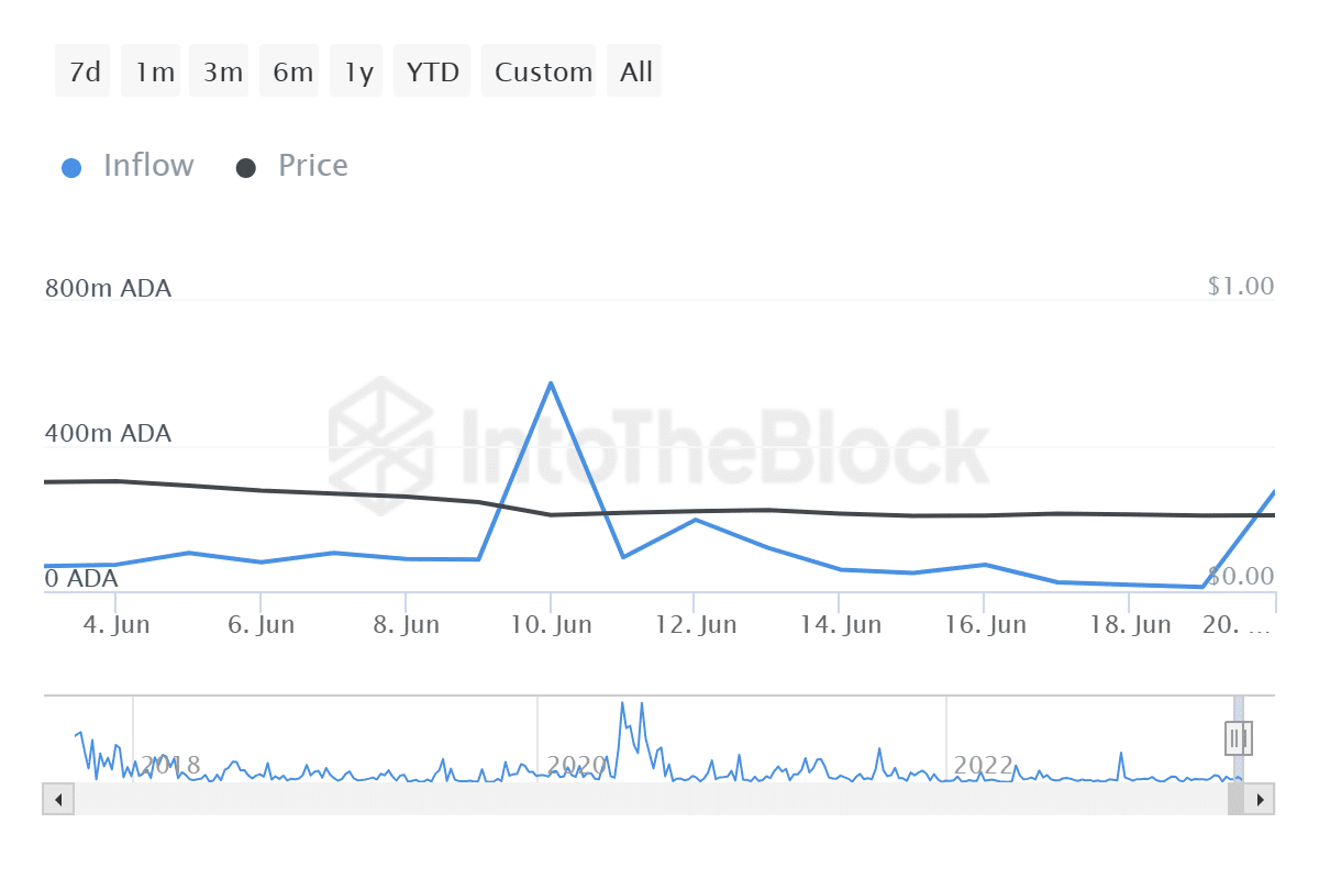 Cardano whale inflows