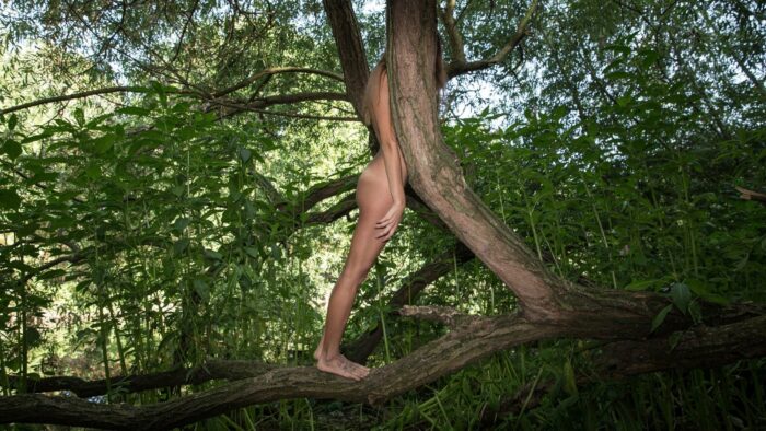 A photograph of a naked woman in a forest taken from the side whose hands are at her side and whose face is obscured by the truck of a tree.