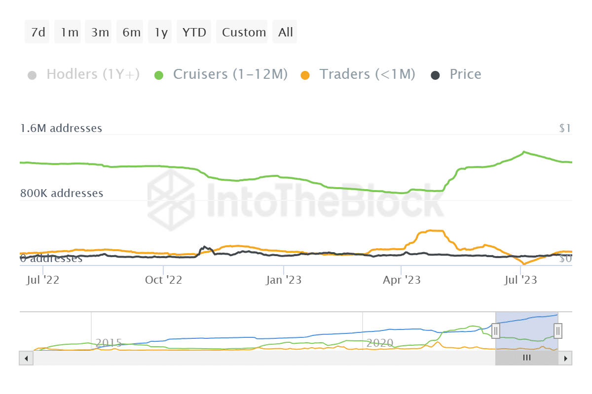 Dogecoin holders' distribution by time 