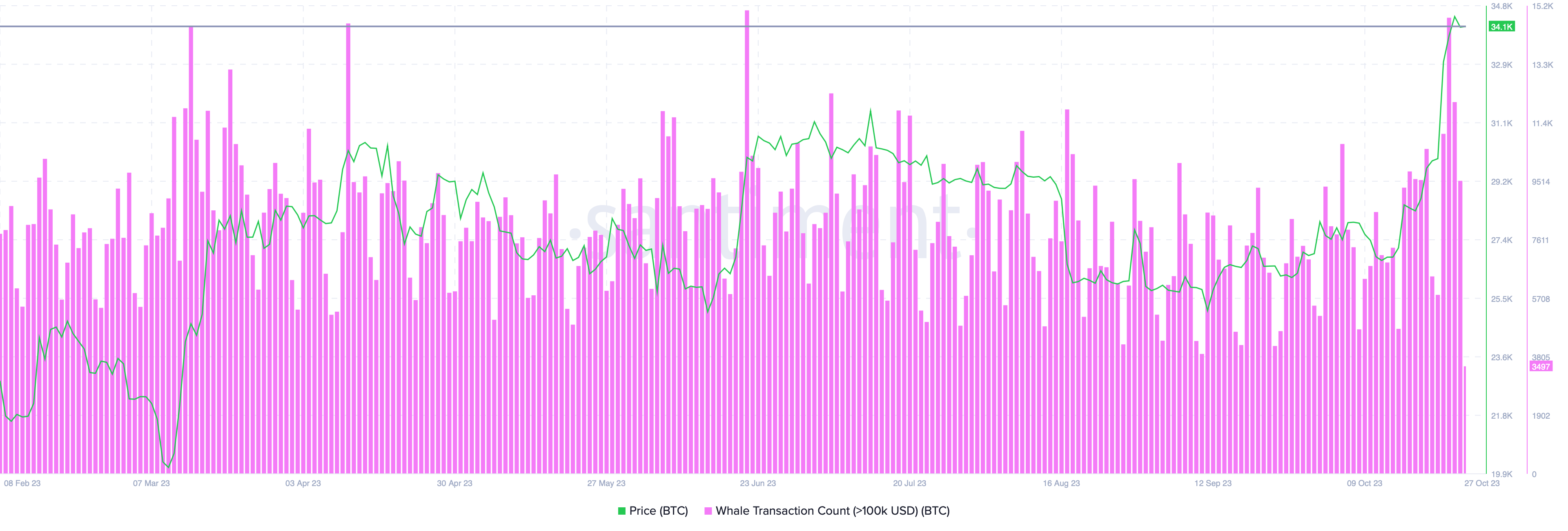 BTC whale transaction count