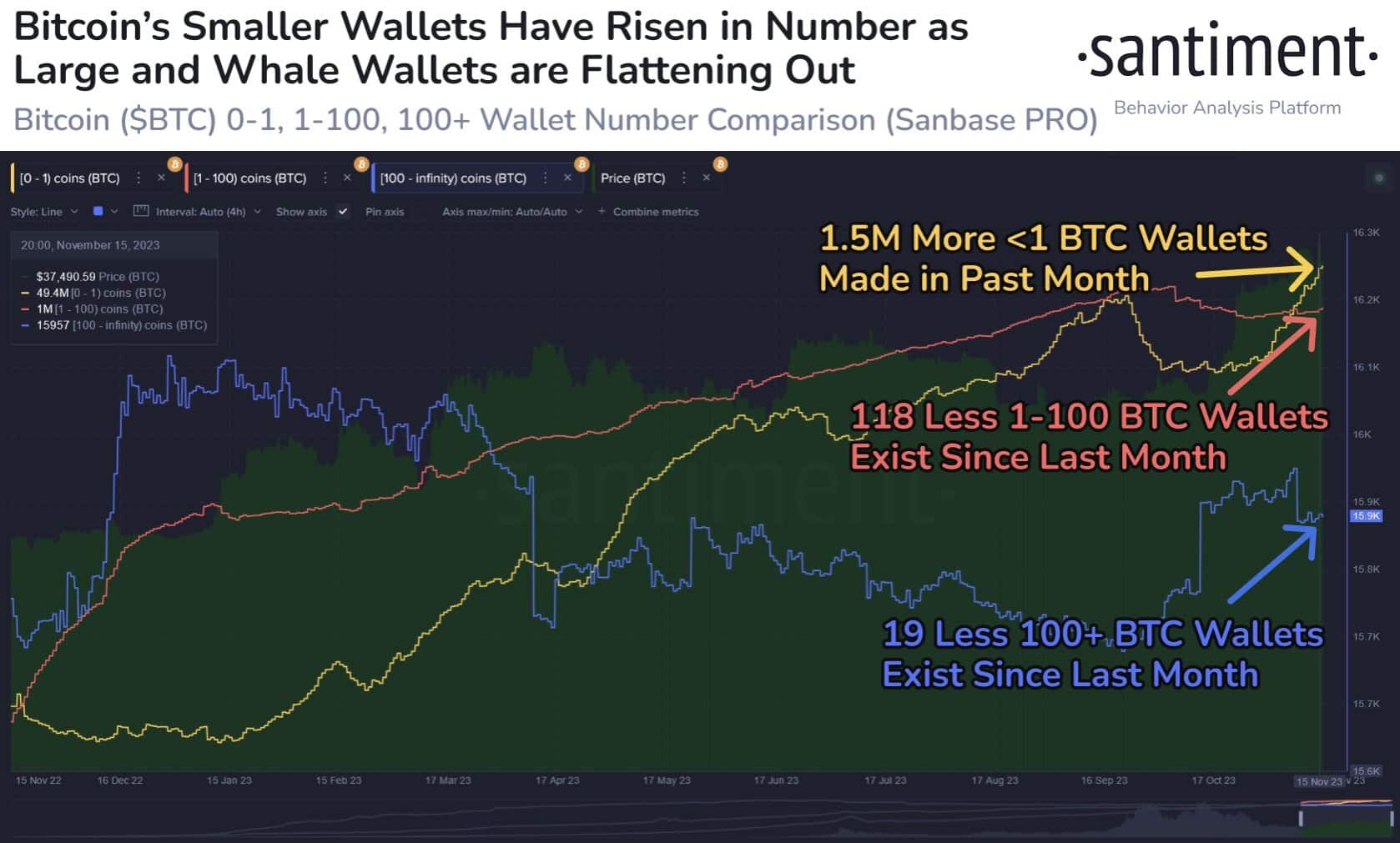 bitcoin price rally is powered by shrimp wallet report 655779cc75be0