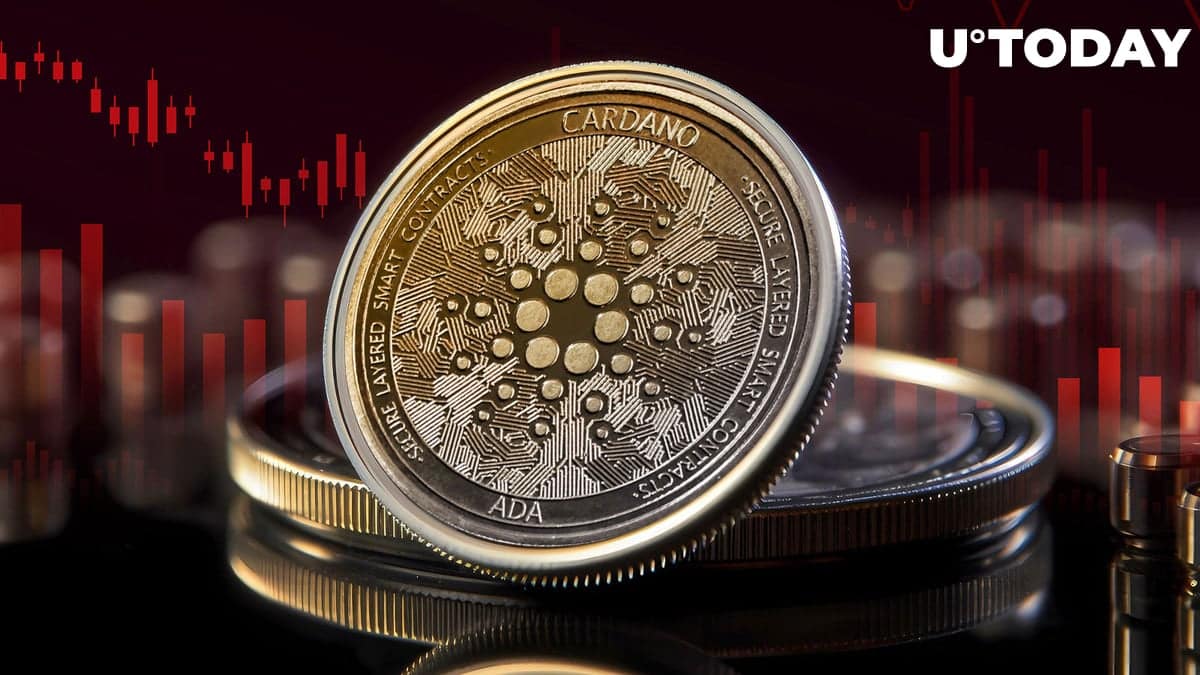 65% of Cardano (ADA) Holders in Losses, What Might Salvage Situation