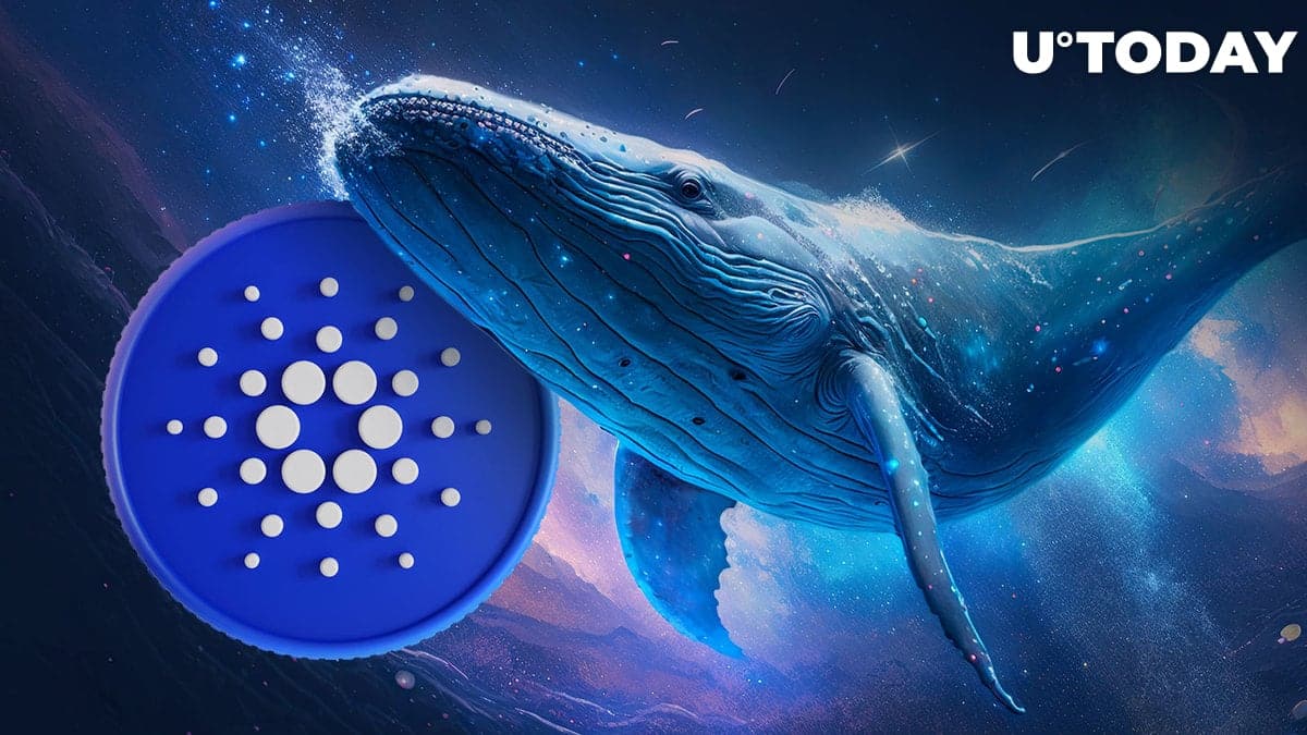 Cardano (ADA) Sees Massive Wave of Interest From Whales, Where It Might Lead