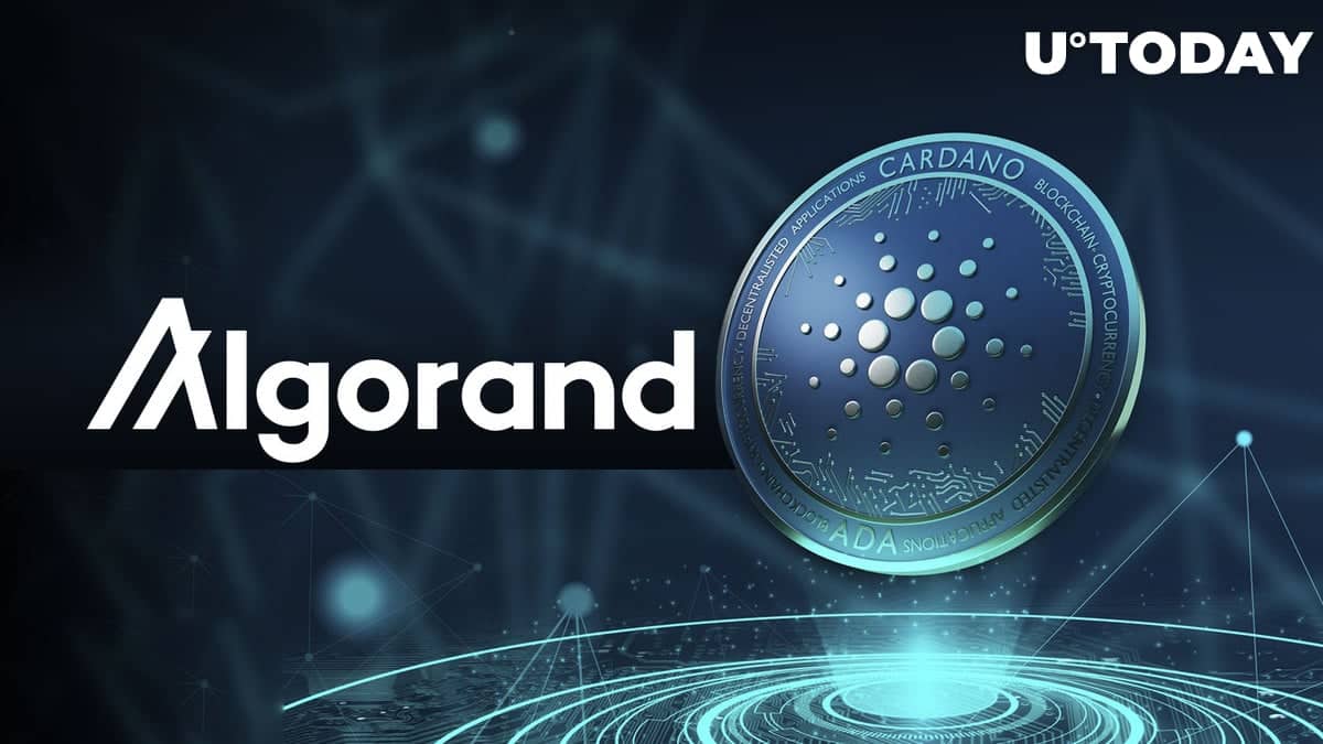 Cardano Layer-2 Protocol Announces Concerning News for Algorand Users